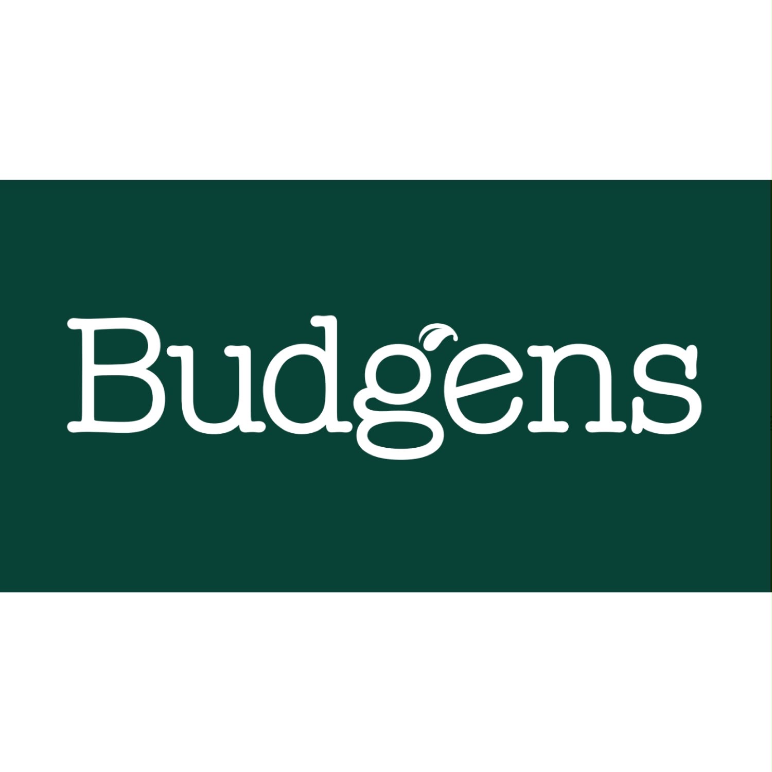Budgens convenience store logo